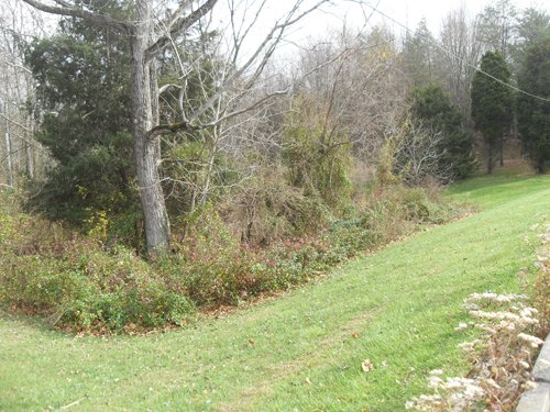 Property photo 5 - Land Auction - 113.11 Acres, Potential Building Site, Wildlife & Recreation, Development Potential